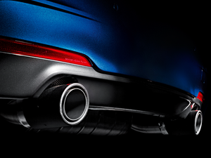 Akrapovič Evolution Line (SS) voor BMW 335i (F30, F31)